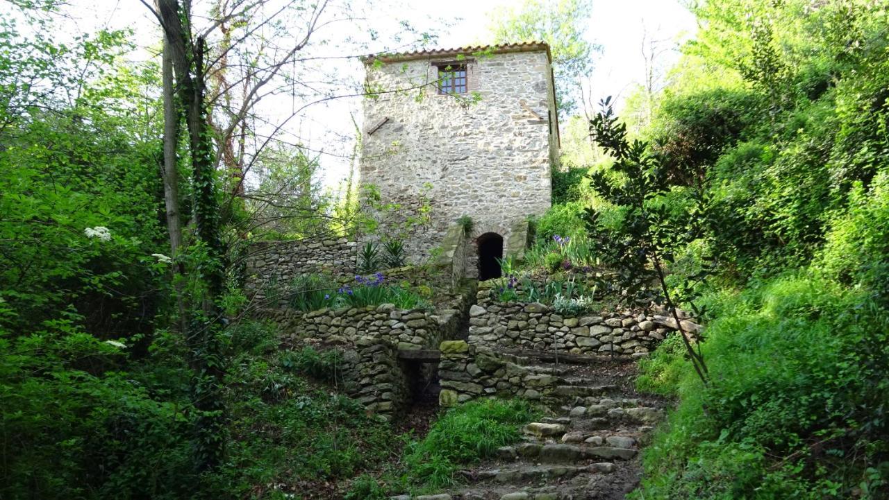 Gite Du Couchant Sorède Kültér fotó